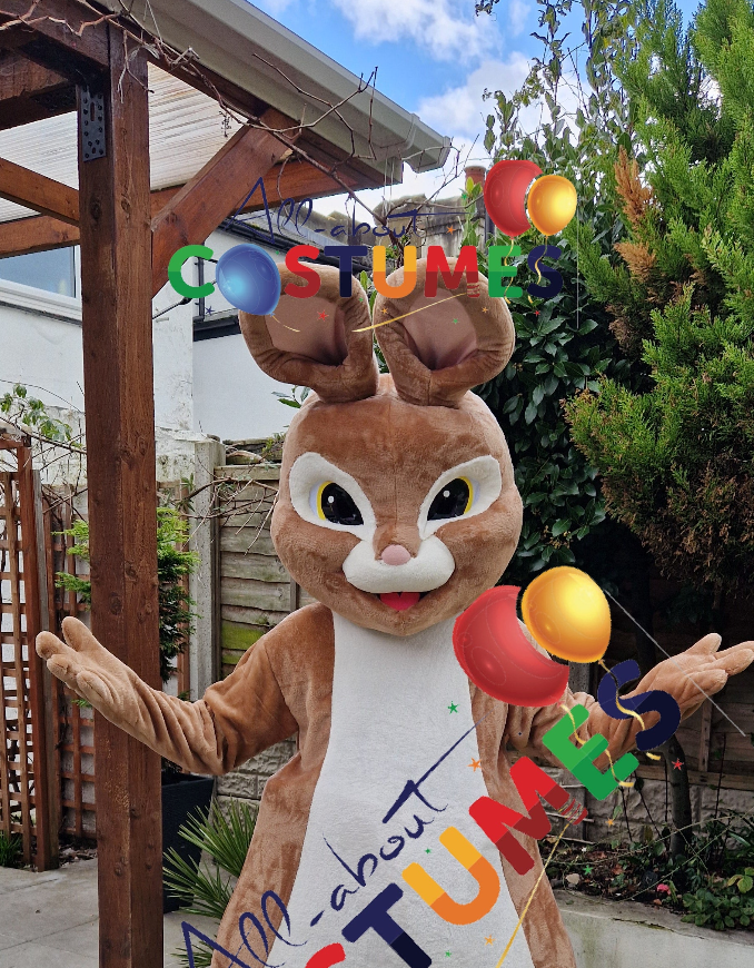 Rabbit