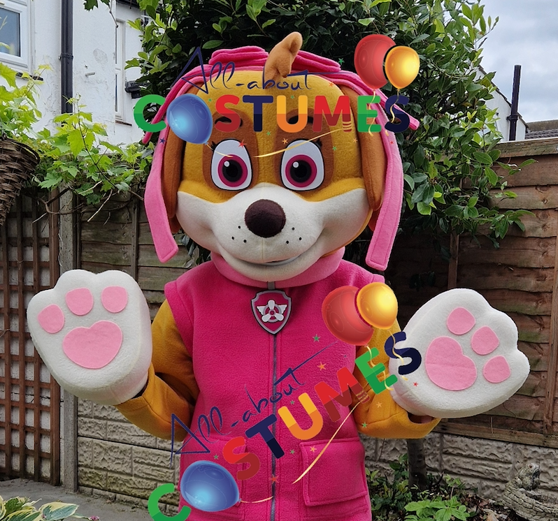 Paw Patrol Skye B