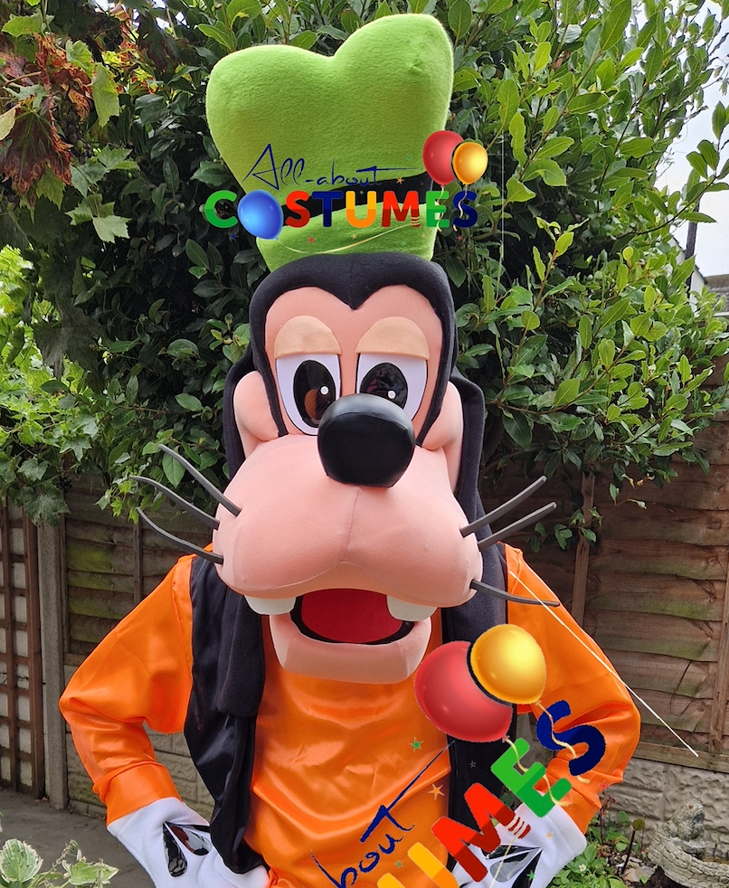 Goofy Costume
