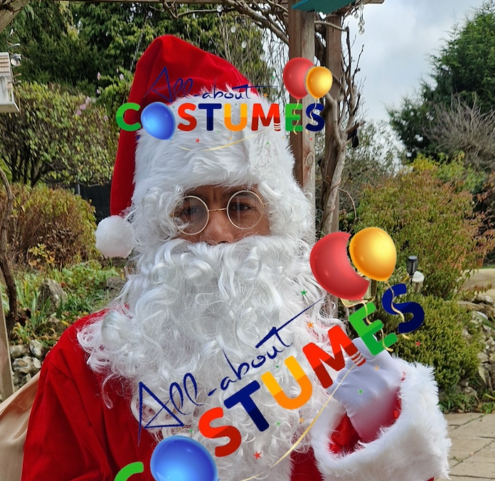 Z Elf en el estante Navidad