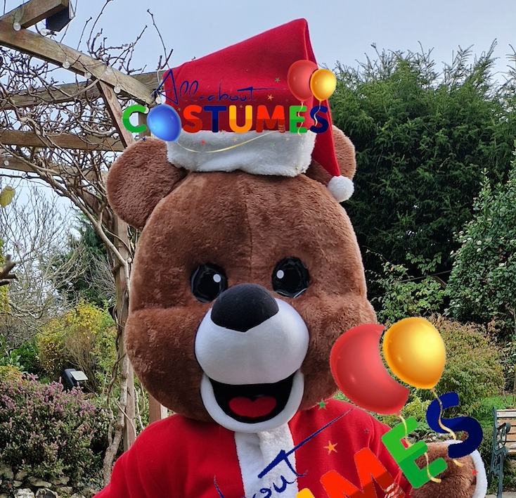 Z Elf en el estante Navidad