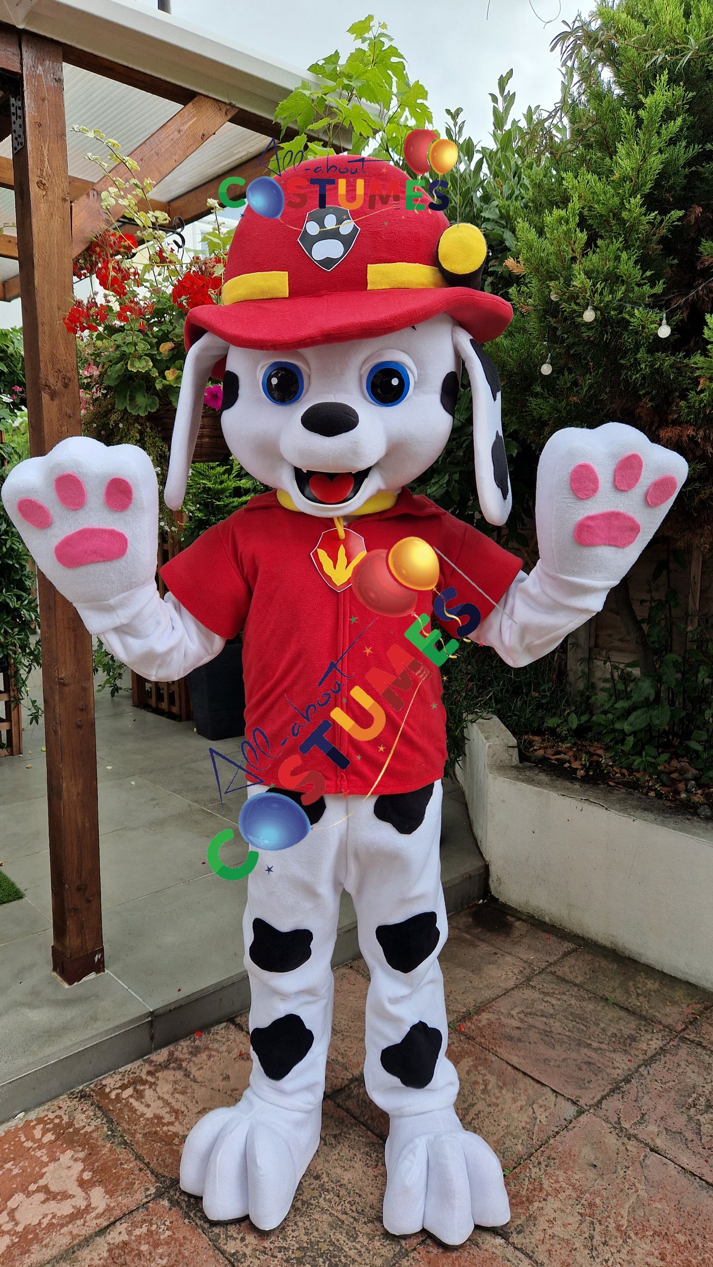 Paw Patrol Marshall with Pink Paws